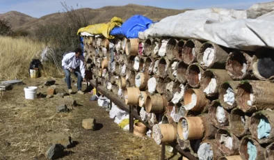 Bitlis’in Altın Ödüllü Karakovan Balında Hasat Zamanı: Rekolte ve Kalite Zirvede