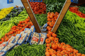 Ekran görüntüsü 2024-11-04 174517