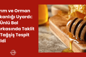 Proje Başlığı (12)