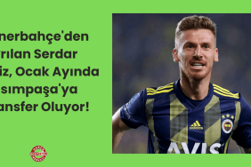 Proje Başlığı (16)