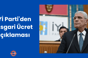 Proje Başlığı (17)