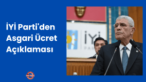Proje Başlığı (17)