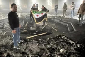 675a7ebd19d36426__w1200xh583 (1)