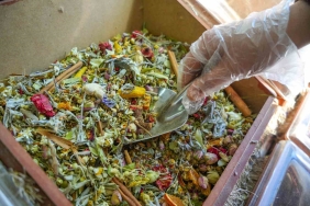 HAVALARIN SOĞUMASI KIŞ ÇAYLARINA TALEBİ ARTTIRDI KIŞ ÇAYININ KİLOSU 500 LİRA