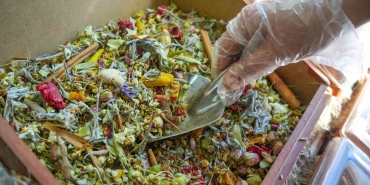 HAVALARIN SOĞUMASI KIŞ ÇAYLARINA TALEBİ ARTTIRDI KIŞ ÇAYININ KİLOSU 500 LİRA