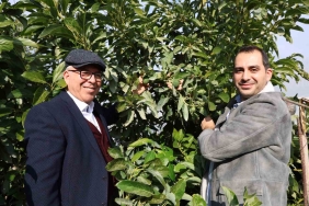 HUKUK PROFESÖRÜ BABA İLE DOKTOR OĞLU ATA TOPRAKLARINDA 30 TON AVOKADO ÜRETİYOR