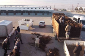 DENİZLİ'DE 8 YILDA 587 BİN CEVİZ FİDANI DAĞITILDI