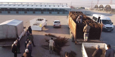 DENİZLİ'DE 8 YILDA 587 BİN CEVİZ FİDANI DAĞITILDI