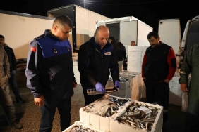 ALTINORDU BALIK HALİ'NDE SIKI DENETİM ORDU'NUN ALTINORDU İLÇESİNDE BALIKLARIN TAZELİĞİ, BOY VE AĞIRLIKLARI, HİJYEN KURALLARINA UYGUN TAŞINIP TAŞINMADIĞI SIKI BİR ŞEKİLDE İNCELENİYOR