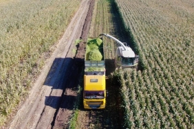 TARIM-ÜFE YILLIK YÜZDE 37,01 ARTTI