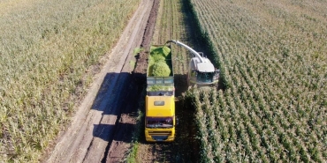 TARIM-ÜFE YILLIK YÜZDE 37,01 ARTTI