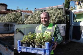 YANGINDA ZARAR GÖREN ÜRETİCİLERE FİDAN DESTEĞİ GEÇTİĞİMİZ TEMMUZ AYINDA SERİK İLÇESİNDE ÇIKAN YANGINDA BAHÇELERİ ZARAR GÖREN ÜRETİCİYE ZEYTİN VE KEÇİBOYNUZU FİDANI HİBE EDİLDİ