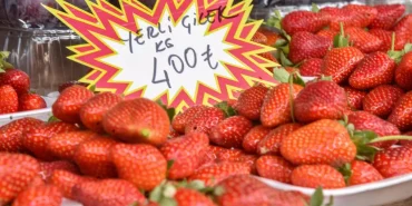 antalya-da-cilegin-adedi-15-kilosu-400-lira-18231999_amp