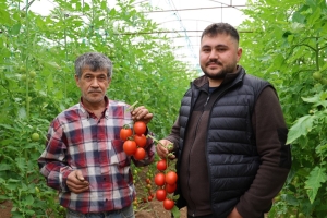 ADANA'DA MAHALLEDE 400 METREKAREYLE BAŞLAYAN SERACILIK 30 DÖNÜME ULAŞTI ADANA'NIN KOZAN İLÇESİNDE NARENCİYENİN MERKEZİ OLAN BUCAK BÖLGESİNDE ÇİFTÇİ SERADA DOMATES, SALATALIK VE ÇİLEK ÜRETİMİNE BAŞLADI