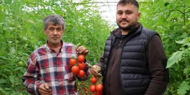 ADANA'DA MAHALLEDE 400 METREKAREYLE BAŞLAYAN SERACILIK 30 DÖNÜME ULAŞTI ADANA'NIN KOZAN İLÇESİNDE NARENCİYENİN MERKEZİ OLAN BUCAK BÖLGESİNDE ÇİFTÇİ SERADA DOMATES, SALATALIK VE ÇİLEK ÜRETİMİNE BAŞLADI