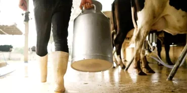 cig-sutte-ureticinin-eline-16-lira-40-kurus-18231858_amp