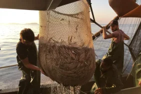 deniz-sogumadi-marmara-denizi-nde-beklenen-lu-18231840_amp (1)