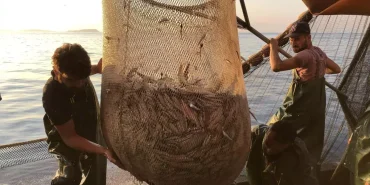 deniz-sogumadi-marmara-denizi-nde-beklenen-lu-18231840_amp (1)