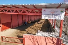 vanli-genc-girisimci-300-kucukbas-hayvanini-9-5-18232291_amp