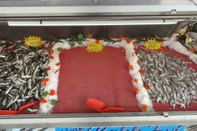 HAMSİ SEVENLERE KÖTÜ HABER