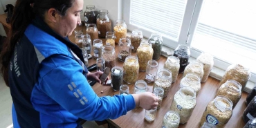 MUĞLA BÜYÜKŞEHİR’İN YEREL TOHUM DAĞITIMI DEVAM EDİYOR MUĞLA BÜYÜKŞEHİR BELEDİYESİ, ATA TOHUMLARININ KORUNMASI VE TARIMSAL ÜRETİMİN DESTEKLENMESİ AMACIYLA 2 MİLYON YEREL TOHUMU TOPRAKLA BULUŞTURMAYA BAŞLIYOR.