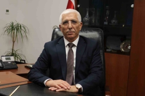 ZEYTİN ÜRETİCİSİNE 800 MİLYON LİRA ÖDEME