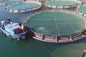 MART AYINDA SU ÜRÜNLERİNDEN 135 MİLYON DOLARLIK İHRACAT