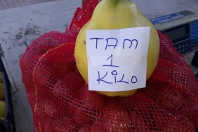 SARIGÖL'DE LİMON AYVA ÜRETİMİ YAYGINLAŞIYOR