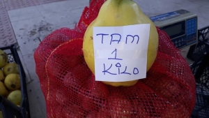 SARIGÖL'DE LİMON AYVA ÜRETİMİ YAYGINLAŞIYOR