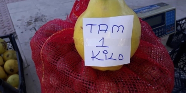 SARIGÖL'DE LİMON AYVA ÜRETİMİ YAYGINLAŞIYOR