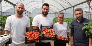 YALOVA'DA TOPRAKSIZ TARIM SERASINDA ÇİLEK ÜRETİMİNE BAŞLANDI