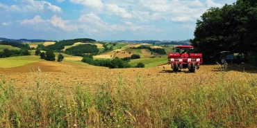 MEYVE ÜRETİCİLERİNE DESTEK