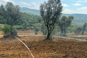 TARIM ARAZİLERİNİZİ KORUYUN, HİSSELİ SATIŞLARA DİKKAT