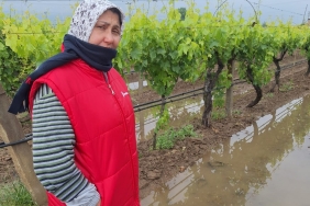 BAHAR YAĞMURLARI ÜRETİCİYİ SEVİNDİRDİ