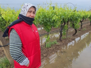 BAHAR YAĞMURLARI ÜRETİCİYİ SEVİNDİRDİ