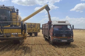 MARDİN'DE YILIN İLK BUĞDAYI TONU 17 BİN LİRADAN SATILDI