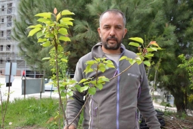 (ÖZEL) DEDEDEN TORUNA UZANAN BİR MESLEK MİRASI KENDİ ÜRETTİKLERİ FİDANLARI PAZARLARDA SATIYOR, ÜRETİCİLERİ DE DİKİM VE BAKIM KONUSUNDA BİLGİLENDİRİYOR FİDANCI VOLKAN AYAZ "DEDEDEN KALMA BİR FİRMA SAHİBİYİZ VE BİTKİLERİ KENDİMİZ ÜRETİYORUZ" "EN ÇOK RAĞBET GÖREN CEVİZ, KİRAZ, KAYISI, AYVA VE VİŞNE FİDANLARI"