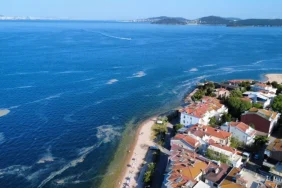 681d03c818569203__w1200xh675