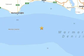 68238b66a2809409__w1200xh1346