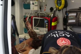 6825810498c92435__w1200xh675