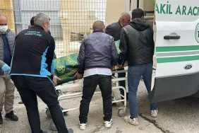 68259c016b354779__w1200xh675