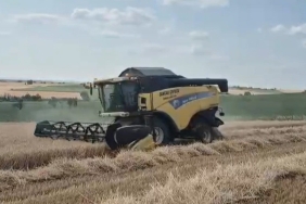EDİRNE'DE BUĞDAY HASADI BAŞLADI: ÜRETİCİ VERİMDEN MEMNUN