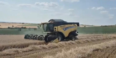 EDİRNE'DE BUĞDAY HASADI BAŞLADI: ÜRETİCİ VERİMDEN MEMNUN