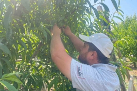 "TEK TEK" GÜNDE 1200 LİRA KAZANIYORLAR