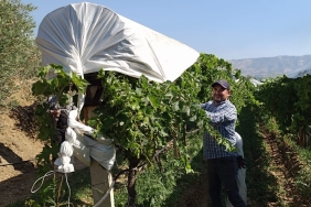 SARIGÖL'DE ÖRTÜ EKİPLERİ İŞLERİ SIRAYA KOYDU