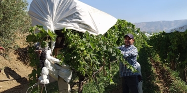 SARIGÖL'DE ÖRTÜ EKİPLERİ İŞLERİ SIRAYA KOYDU