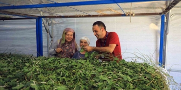 MUĞLA BÜYÜKŞEHİR’DEN İPEKBÖCEKÇİLİĞİNE TAM DESTEK