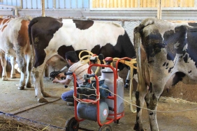 TÜSEDAD'DAN ÇİĞ SÜTTE MALİYET KONUSUNDA İŞ BİRLİĞİ ÇAĞRISI