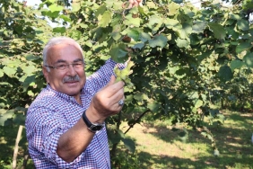 BAŞKAN GÜLER'DEN FERRERO'YA KARŞI TARİHİ FINDIK MÜCADELESİ: "BU BİR MİLLİ DURUŞTUR" ORDU BÜYÜKŞEHİR BELEDİYE BAŞKANI DR. MEHMET HİLMİ GÜLER: "BU DÜZENİ KABUL ETMEDİK, ÇÜNKÜ BU DÜZEN FINDIK ÜRETİCİSİNİN EMEĞİNİ HİÇE SAYIYORDU. REKABET HUKUKU, HER ÜLKENİN EGEMENLİK HAKKIDIR. BİZ BU HAKKIMIZI KULLANDIK" "ÜRETİCİNİN HAKKINI, REKABETÇİ VE ADİL BİR SİSTEMLE KORUMAYA KARARLIYIZ. BU BİR MİLLİ DURUŞTUR"