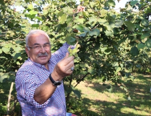 BAŞKAN GÜLER'DEN FERRERO'YA KARŞI TARİHİ FINDIK MÜCADELESİ: "BU BİR MİLLİ DURUŞTUR" ORDU BÜYÜKŞEHİR BELEDİYE BAŞKANI DR. MEHMET HİLMİ GÜLER: "BU DÜZENİ KABUL ETMEDİK, ÇÜNKÜ BU DÜZEN FINDIK ÜRETİCİSİNİN EMEĞİNİ HİÇE SAYIYORDU. REKABET HUKUKU, HER ÜLKENİN EGEMENLİK HAKKIDIR. BİZ BU HAKKIMIZI KULLANDIK" "ÜRETİCİNİN HAKKINI, REKABETÇİ VE ADİL BİR SİSTEMLE KORUMAYA KARARLIYIZ. BU BİR MİLLİ DURUŞTUR"
